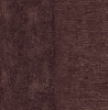 CB10309